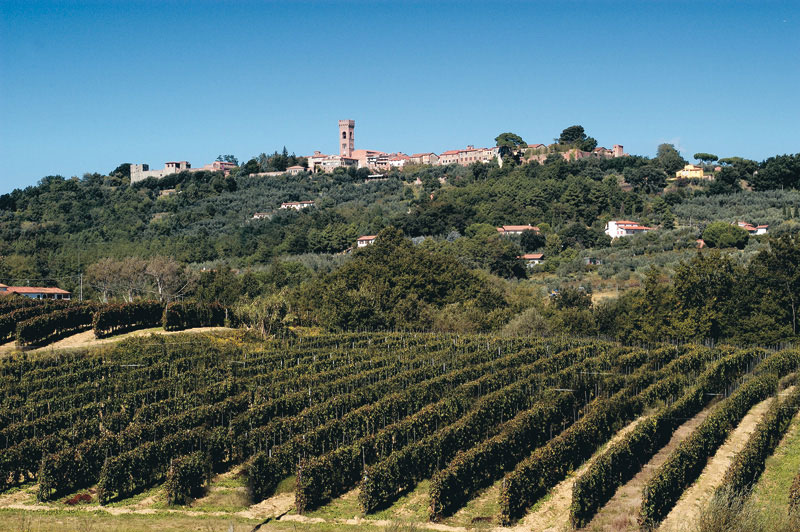 Montecarlo vista del paese e delle vigne