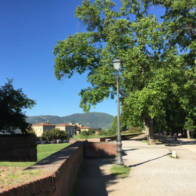 MURA-di-LUCCA-in-bici