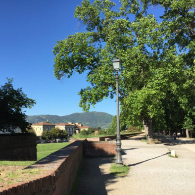 Bike tour of the walls of Lucca
